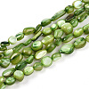 Natural White Shell Beads Strands SHEL-N036-21D-1