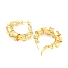 Rack Plating Brass Twist Spiral Hoop Earrings EJEW-P240-11G-2