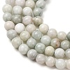 Natural Myanmar Jade/Burmese Jade Beads Strands G-D0001-08-6mm-01-3