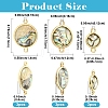 9Pcs 3 Styles Natural Paua Shell Connector Charms KK-YW0003-61-3
