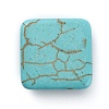 Synthetic Turquoise Cabochons TURQ-WH0001-03G-3