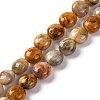 Natural Crazy Agate Beads Strands G-T047-A23-01-1