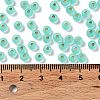 6/0 Glass Seed Beads SEED-Z001-B-E05-4