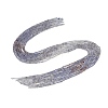 Natural Iolite Beads Strands G-F789-02-3