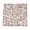 Natural Freshwater Shell Mosaic Tile Cabochons SHEL-Q029-02-3