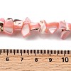 Natural Trochid Shell/Trochus Shell Beads Strands SHEL-B003-02C-4