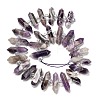 Natural Amethyst Double Terminated Point Beads Strands G-H069-B16-01-3