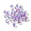 Transparent Glass Charms GLAA-P070-A03-2