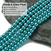 Eco-Friendly Dyed Glass Pearl Round Bead Strands LS-HY-A008-6mm-RB073-3