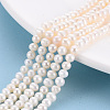 Natural Cultured Freshwater Pearl Beads Strands PEAR-N010-02B-01-1