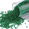 TOHO Round Seed Beads SEED-XTR15-0036-1