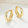 925 Sterling Silver Hoop Earrings AQ4751-05-2