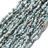 Natural Larimar Beads Strands G-I389-A18-2