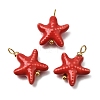 Handmade Porcelain Pendants PR-CBA0027-09G-03-1