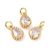 Brass Micro Pave Cubic Zirconia Pendants ZIRC-D120-01G-08-1