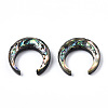 Natural Abalone Shell/Paua Shell Beads SSHEL-N034-122A-01-1