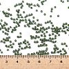 TOHO Round Seed Beads SEED-JPTR11-0119-4