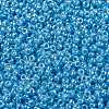 MIYUKI Round Rocailles Beads X-SEED-G009-RR0433-3