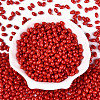 Baking Paint Glass Seed Beads SEED-T007-15I-1