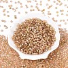 Picasso Baking Paint Glass Seed Beads SEED-N007-37L-2
