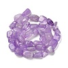 Natural Amethyst(Dyed & Heated) Beads Strands G-P497-01E-22-3