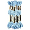 6Bundles Polyester Embroidery Floss OCOR-YW0001-25E-1