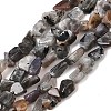 Natural Moonstone Beads Strands G-A284-A01-03-2