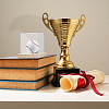 Acrylic Baseball Display Cases with Wooden Base ODIS-WH0081-16-6