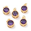 Real 18K Gold Plated Brass Inlaid Cubic Zirconia Charms ZIRC-L100-081G-03-1