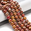 Dyed Natural Regalite/Imperial Jasper/Sea Sediment Jasper Beads Strands G-B124-C01-16-2