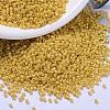 MIYUKI Delica Beads SEED-X0054-DB2102-1