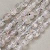 Natural Biotite Beads Strands GG-CBAC61B-B02-02-B-2