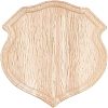 Special-shaped Rubber Wooden Base Display WOOD-WH0023-36-1