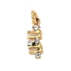 304 Stainless Steel Micro Pave Cubic Zirconia Charms STAS-D364-01G-3