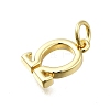 Brass Pendants KK-K400-51G-F-2