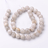 Faceted Natural Agate Round Bead Strands G-L383-11-10mm-2