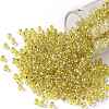 TOHO Round Seed Beads SEED-TR08-2151S-1