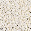 FGB Grade A Glass Round Bugle Beads SEED-Q040-06A-02-3