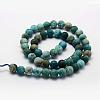 Natural Apatite Beads Strands G-K193-10mm-12-2