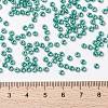 MIYUKI Round Rocailles Beads X-SEED-G008-RR0435-4