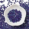 Glass Seed Beads SEED-H002-A-A619-2
