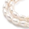 Natural Cultured Freshwater Pearl Beads Strands PEAR-P062-06A-4