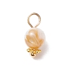 Natural Freshwater Shell Charms PALLOY-JF01657-2