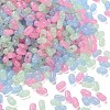 Luminous Transparent Acrylic Beads LACR-D009-01A-2