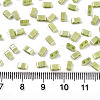 FGB 2-Hole Glass Seed Beads SEED-S031-M-SH124-2