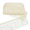 Polyester Tassel Lace Edge Trim Ribbon OCOR-WH0101-118C-1