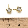 304 Stainless Steel Micro Pave Cubic Zirconia Charms STAS-U027-02G-01-3