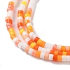 Handmade Czech Lampwork Beads Strands LAMP-L078-008B-3