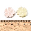 Handmade Porcelain Beads PR-CBA64B6-02-3