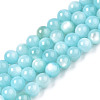 Natural Freshwater Shell Beads Strands X-BSHE-T009A-01E-1